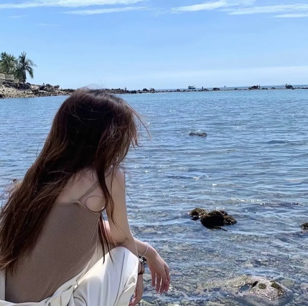 霸王大系龙骑士