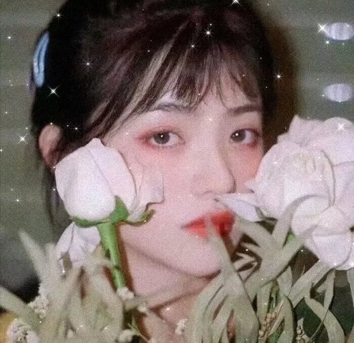 白色的南方